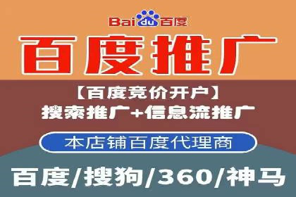 百度SEO推广公司成功案例：助力企业实现流量暴增